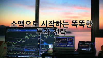 소액으로 시작하는 똑똑한 투자 전략