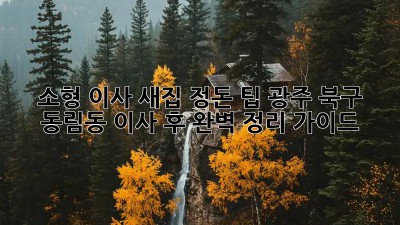 소형 이사, 새집 정돈 팁: 광주 북구 동림동 이사 후 완벽 정리 가이드